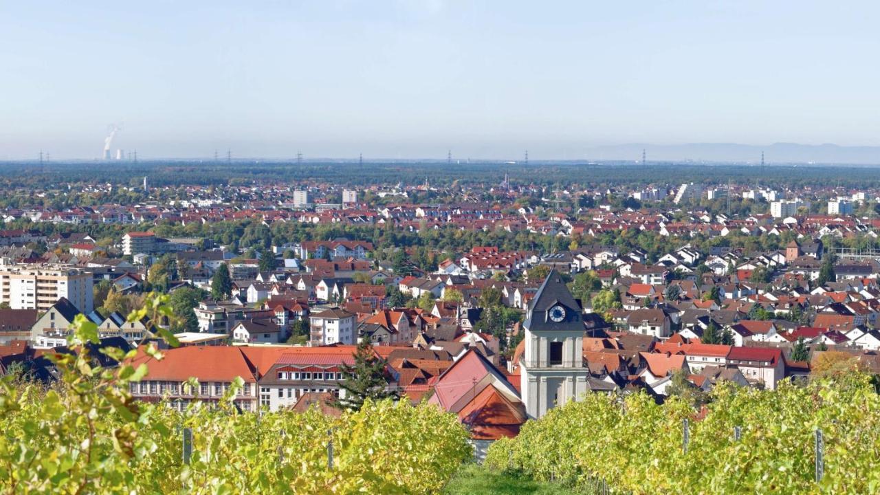 Grosse Ferienwohnung, Apartment In Leimen Wehome Komfort 외부 사진