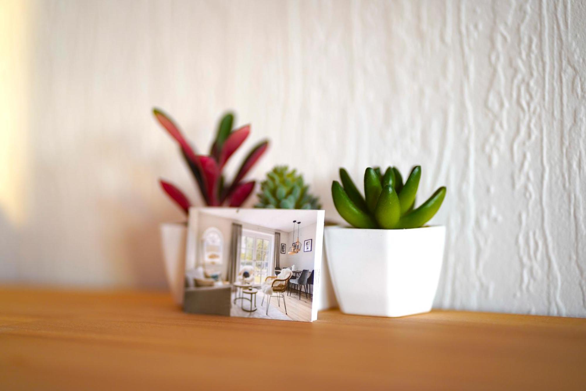 Grosse Ferienwohnung, Apartment In Leimen Wehome Komfort 외부 사진